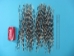 African Porcupine Quill: B-Grade Thin: Assorted - 184-02B2 (Y2D)
