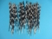 African Porcupine Quill: B-Grade Thin: Assorted - 184-02B2 (Y2D)