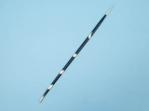 African Porcupine Quill: #1: Large (9"-12") 