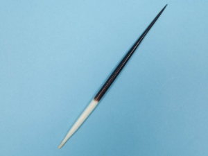African Porcupine Quill: #1: Medium (5"-9") 