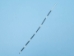 African Porcupine Quill: #1: Ultra Thin - 184-02UT (Y1X)