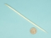 African Porcupine Quill: #1: White - 184-02WH (Y1MC10)