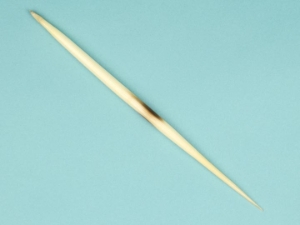 African Porcupine Quill: #1: White 