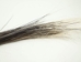 African Porcupine Hair (oz) - 184-03 (Y2KC12)