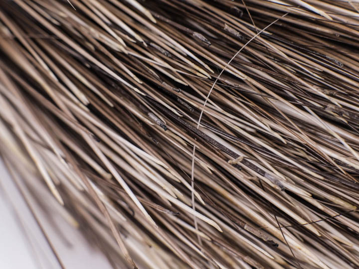 Porcupine Hair - 1 OZ. Bundles