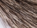 African Porcupine Hair (oz) - 184-03 (Y2KC12)