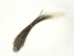 African Porcupine Hair (oz) - 184-03 (Y2KC12)