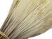 North American Porcupine Hair (oz) - 184-H1 (B1)