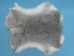 Craft Rabbit Skin: Chinchilla - 188-01NCH (Y2G)