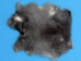 Cut-Up Rabbit Skin: Mixed Natural Colors - 188-02N (Y2F)(Y2ERP)