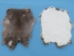 Cut-Up Rabbit Skin: Mixed Natural Colors - 188-02N (Y2F)(Y2ERP)