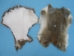 Cut-Up Rabbit Skin: Mixed Natural Colors - 188-02N (Y2F)(Y2ERP)