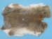 Cut-Up Rabbit Skin: Mixed Natural Colors - 188-02N (Y2F)(Y2ERP)