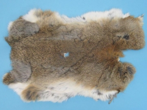 Cut-Up Rabbit Skin: Mixed Natural Colors 