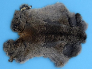 Gift Shop Rabbit Skin: Mixed Natural Colors 
