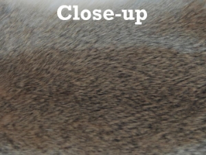Gift Shop Rabbit Skin: Bunny Brown 