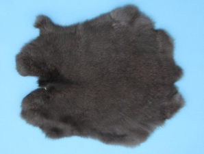 Gift Shop Rabbit Skin: Clear Black 