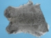 Gift Shop Rabbit Skin: "Chinchilla" - 188-03NCH (Y2ERI)