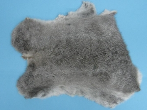 Gift Shop Rabbit Skin: "Chinchilla" 