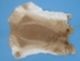 Gift Shop Rabbit Skin: Fawn - 188-03NFA (Y2E)(Y2G)