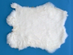 Gift Shop Rabbit Skin: White 