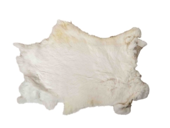 Clipper Rabbit Skin: White 