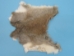 Poubelle Rabbit Skin: Mixed Natural Colors - 188-06N (Y1I)
