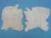 Poubelle Rabbit Skin: White - 188-06W (Y1I)(Y2E)