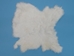 Poubelle Rabbit Skin: White - 188-06W (Y1I)(Y2E)