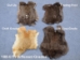 Grade 5 Rabbit Skin: Mixed Natural Colors - 188-07N (Y1I)