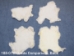 Grade 5 Rabbit Skin: White - 188-07W (Y1I)