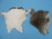 Scrappy Rabbit Skin: Mixed Natural Colors - 188-08N (Y2ERF)