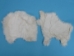 Scrappy Rabbit Skin: White - 188-08W (Y2FRP)
