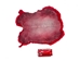 Dyed Rabbt Skin: Red - 188-D-16 (Y2F)