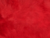 Dyed Rabbt Skin: Red - 188-D-16 (Y2F)