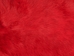 Dyed Rabbt Skin: Red - 188-D-16 (Y2F)