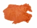 Dyed Rabbt Skin: Orange - 188-D-17 (Y2F)