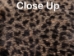 Printed Rabbit Skin: Lippikat Pattern - 188-P1268 (Y1J)