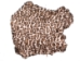 Printed Rabbit Skin: Ocelot Pattern - 188-P2037 (Y1IRH)
