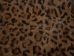 Printed Rabbit Skin: Leopard Pattern - 188-P2264 (Y2ERK)