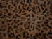 Printed Rabbit Skin: Leopard Pattern - 188-P2264 (Y1I)