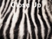 Printed Rabbit Skin: Zebra Pattern - 188-PZ17H (Y1JRA)