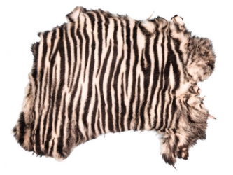 Printed Rabbit Skin: Zebra Pattern 