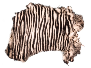 Printed Rabbit Skin: Zebra Pattern 