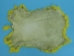 Dyed Trading Post Rabbit Skin: Fluorescent Yellow - 188-TPFY (Y1IRJ)