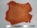 Dyed Trading Post Rabbit Skin: Orange - 188-TPOR (Y1IRF)