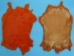 Dyed Trading Post Rabbit Skin: Orange - 188-TPOR (Y1IRF)
