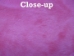Dyed Trading Post Rabbit Skin: Pink - 188-TPPK (Y1IRK)