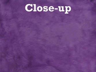 Dyed Trading Post Rabbit Skin: Purple 