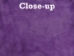 Dyed Trading Post Rabbit Skin: Purple - 188-TPPP (Y1I)